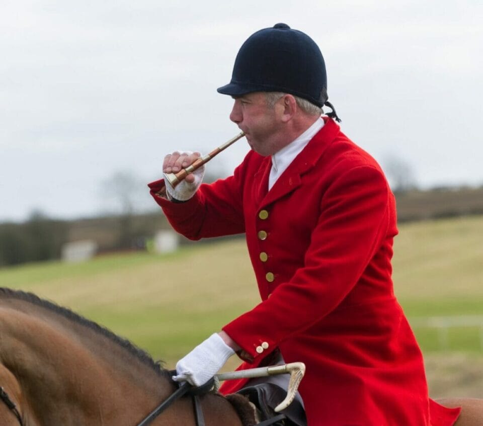 Fox Hunting horn ringtones for iPhone/Android