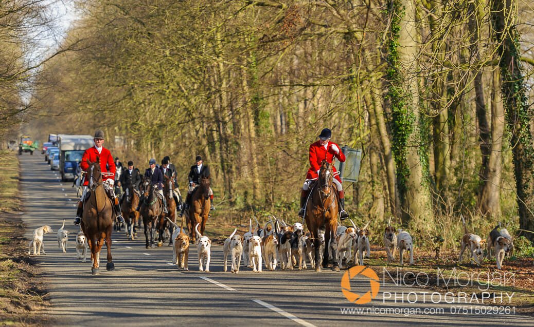 Cottesmore at Barnsdale Lodge