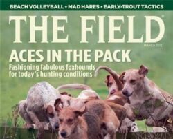 The field cover image