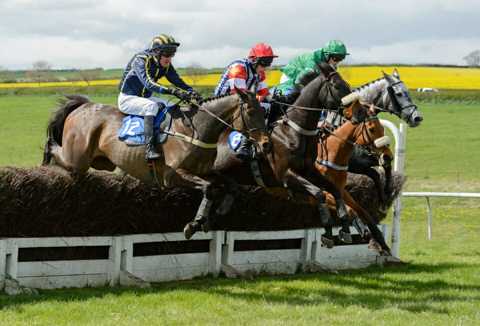 Quorn Hunt point to point