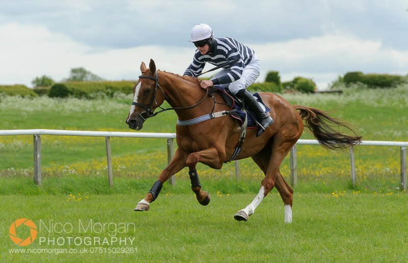 TIME GENTLEMAN wins the Mixed Open Race