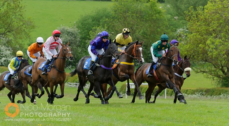 The young horse maiden field.