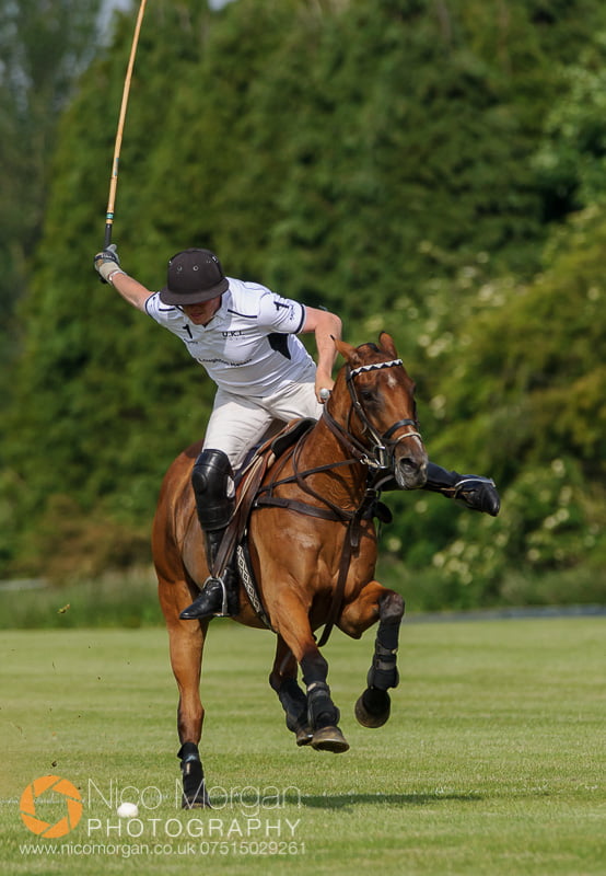 Rathbeags vs. Print On Demand - League Matches - Assam Cup Polo 2015