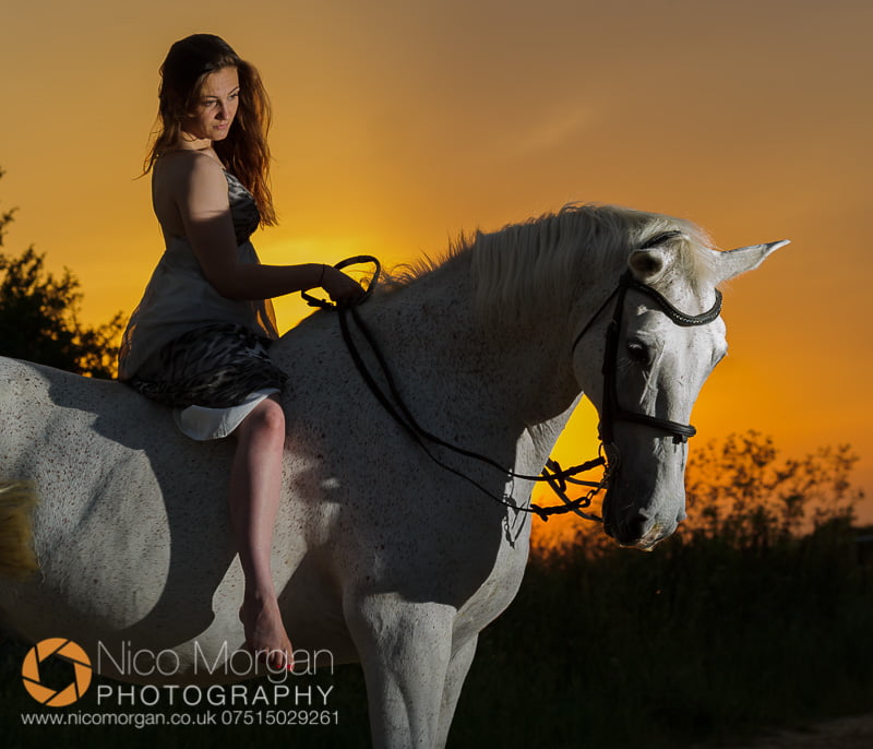 equine photography - Sunset portrait of Laura and her horse