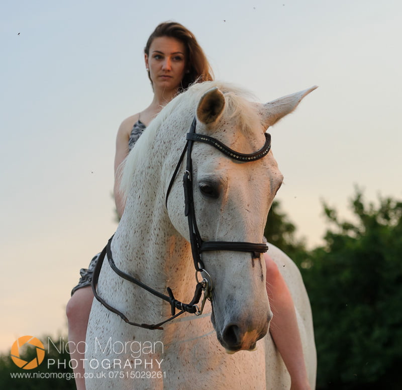 equine photography - Sunset portrait of Laura and her horse