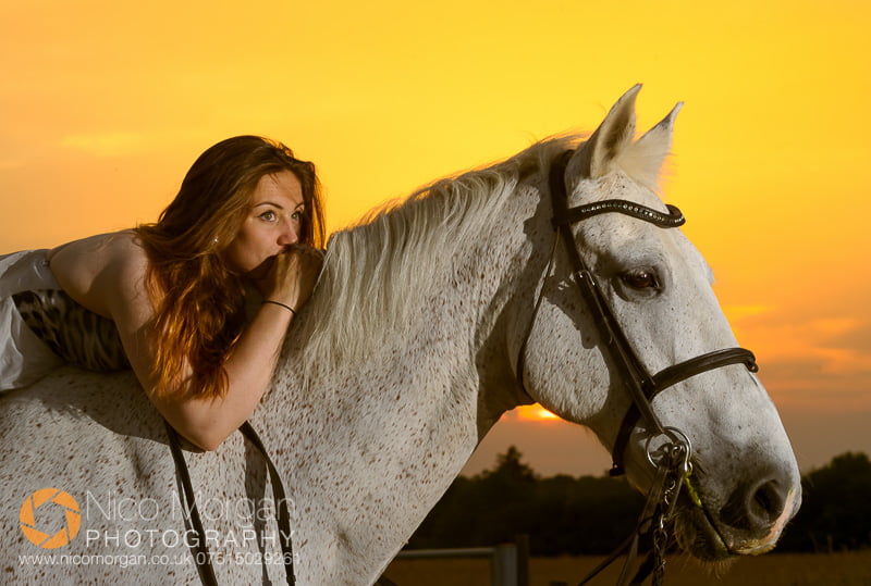 equine photography - Sunset portrait of Laura and her horse