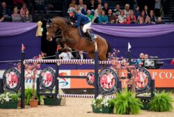 showjumping