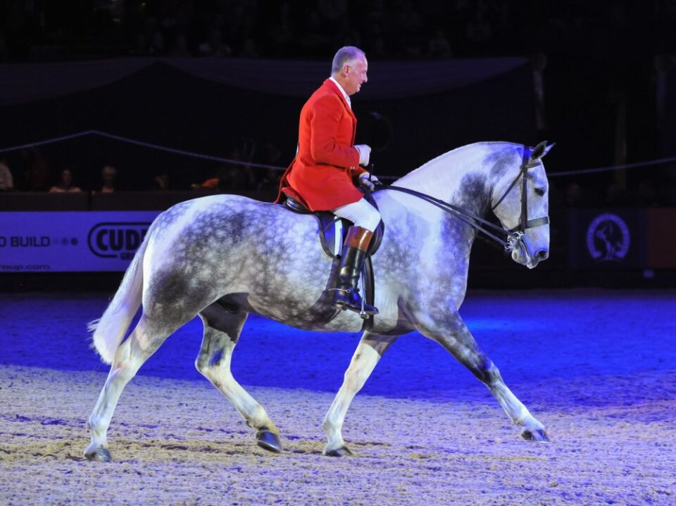 Horse of the Year Show – HOYS 2015 Horse of the Year Show – HOYS 2015