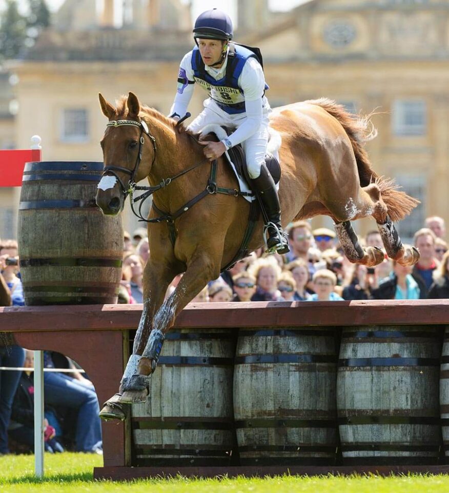 Mitsubishi Motors Badminton Cross Country Course 2018