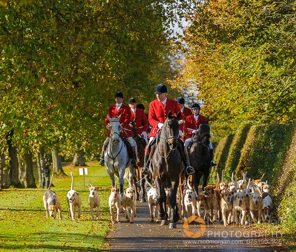 The Cottesmore hounds arrive at the meet