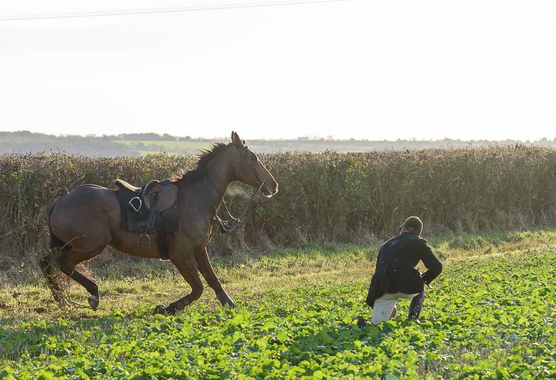 We had the odd tumbler