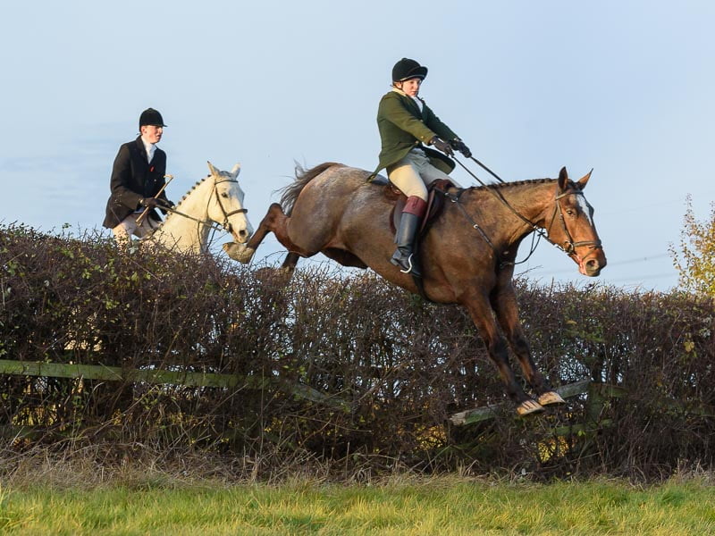 Jumping the last hedge