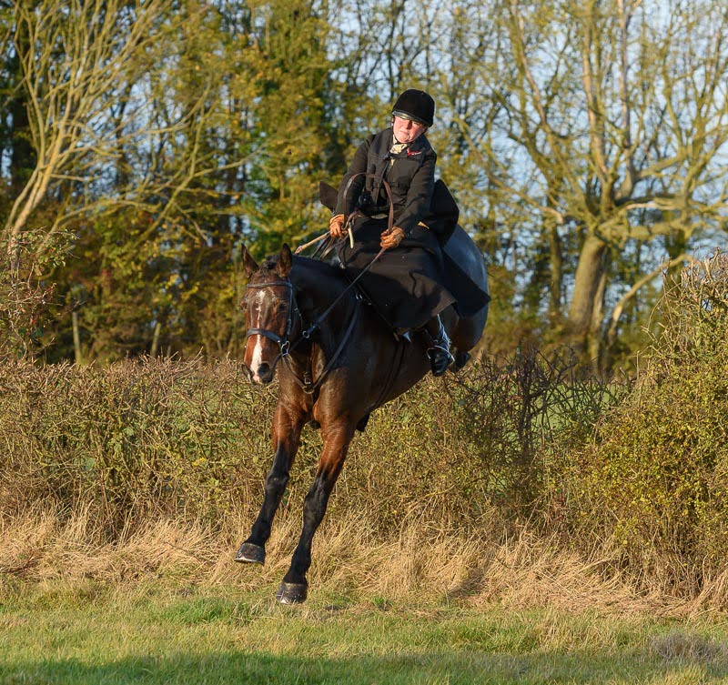 Laura Elliott was one of several side saddle riders