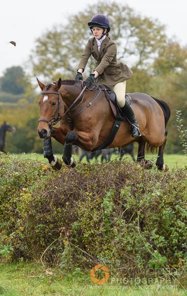 Jumping a hedge from the meet