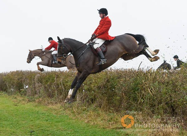 Jumping a hedge near Clawson Thorns