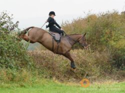 Opening-Meet-Long-Clawson-Belvoir-Hunt-29Oct16-361