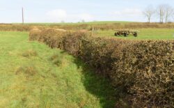 Melton Hunt Club Ride fences