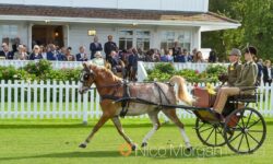 Carriage drivers process past Her Majesty The Queen