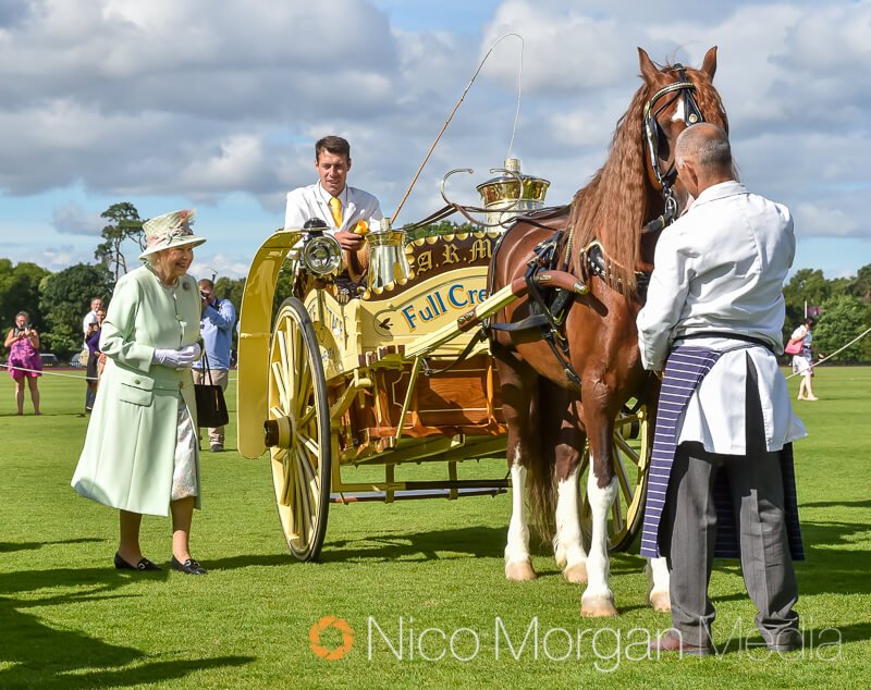 HM the Queen presents prizes to British Driving Society competitors at their annual champsionships.