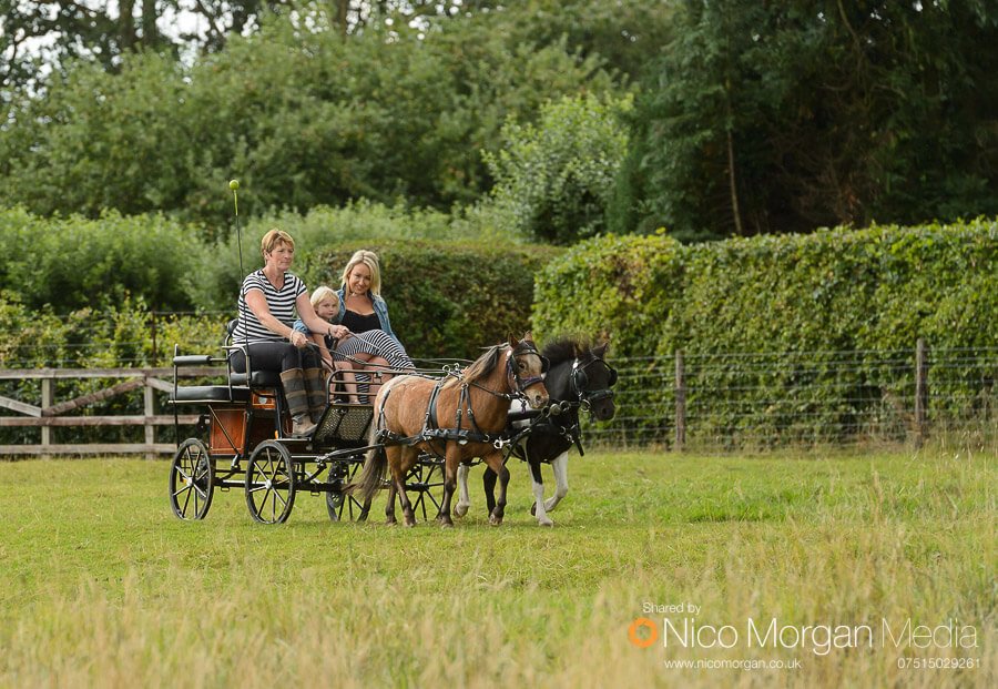 Pony and carriage rides were available in the field
