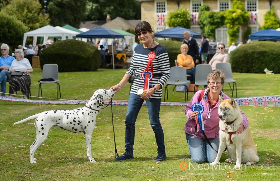 Champion and Reserve from the Dog Show