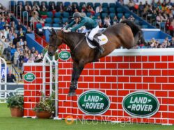 Daniel Coyle and Cavalier Rusticana share the puissance title at Dublin Horse Show 2017