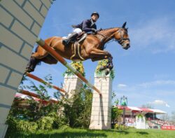 Camera settings for horse photography - Michael Jung at Badminton