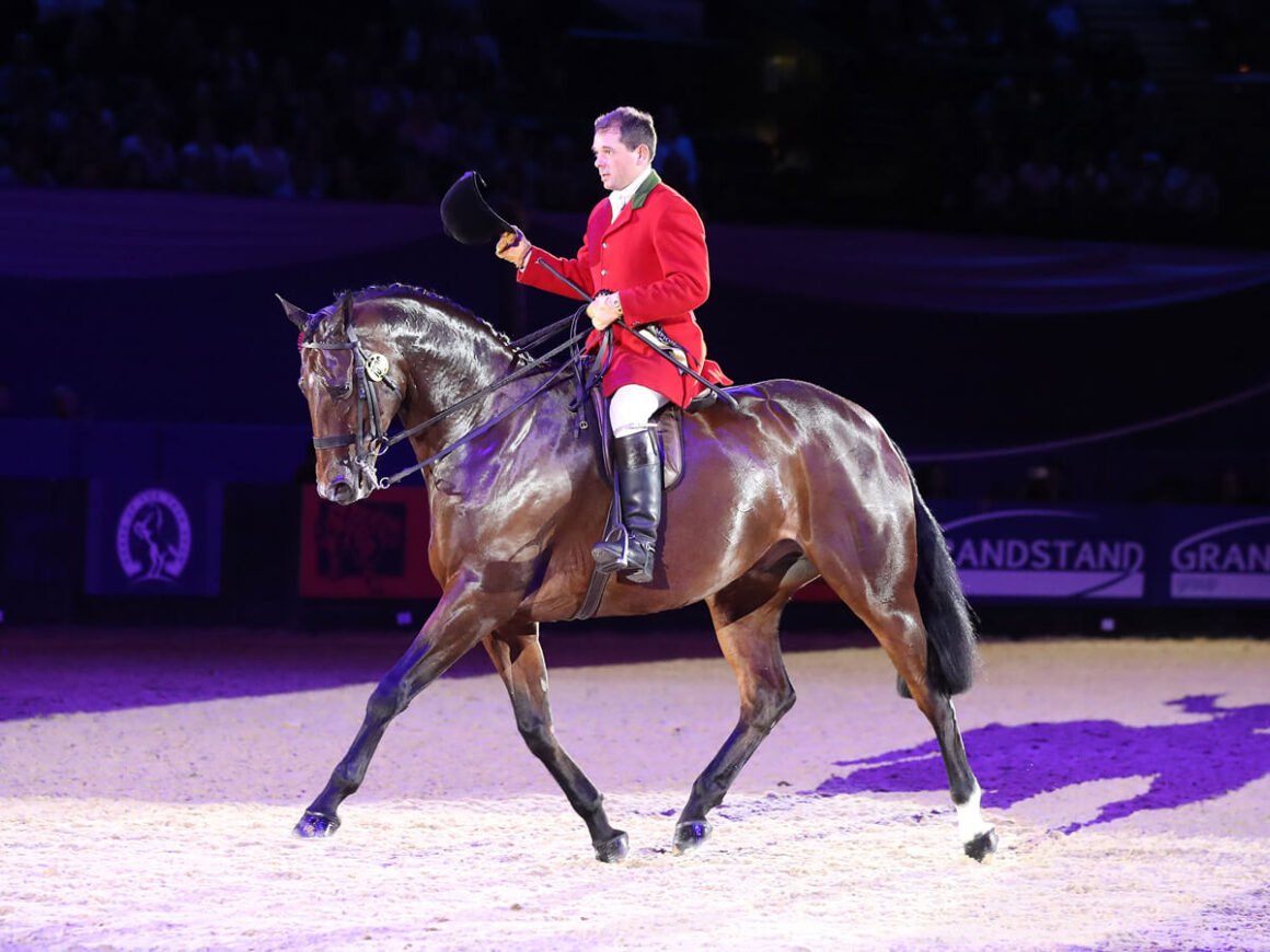 Robert-Walker-and-View-Point-Hunter-Champions-at-HOYS-2017