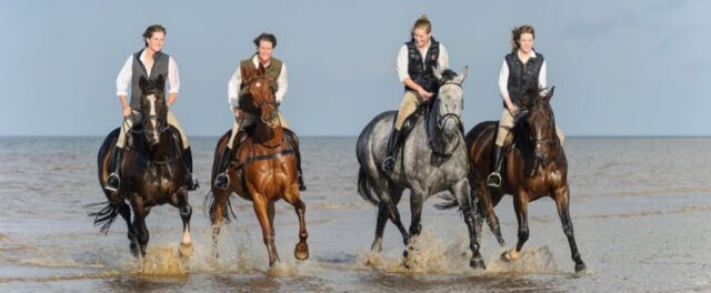 Howard Family riding their horses in the surf