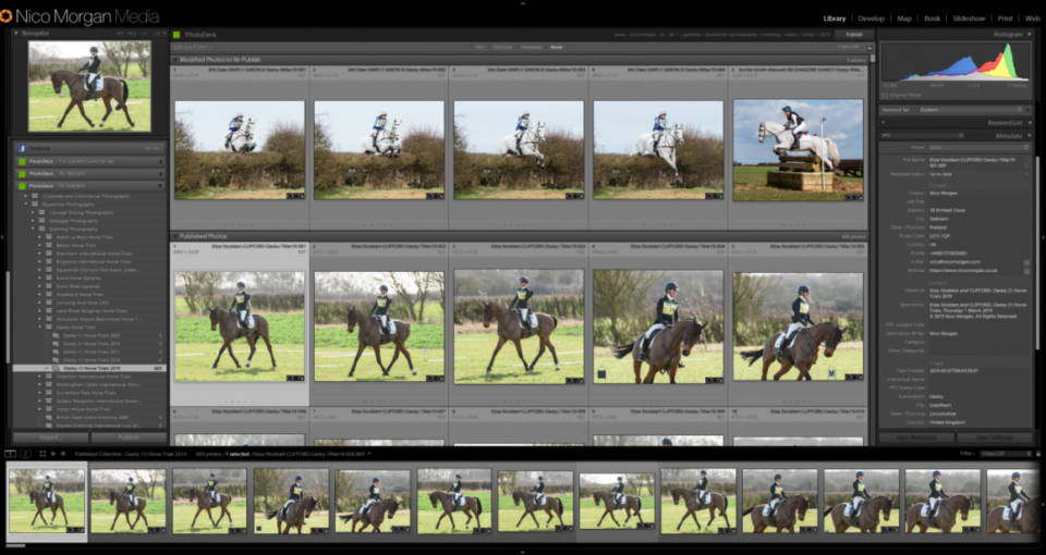 Equestrian Photography Workflow 2: importing & editing in Lightroom