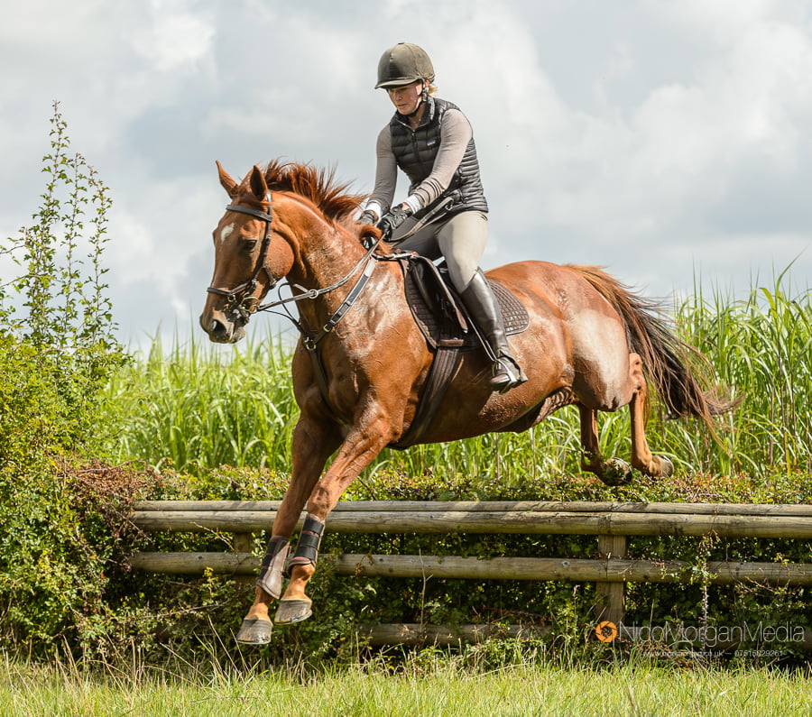 a rider jumping the last fence