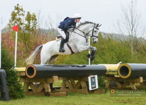 Willa Newton and Cock A Doodle Do