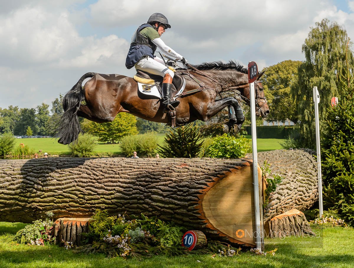 Simon Grieve and DRUMBILLA METRO, Burghley 2017