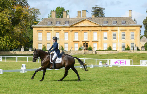The international arenas in front of Cornbury house