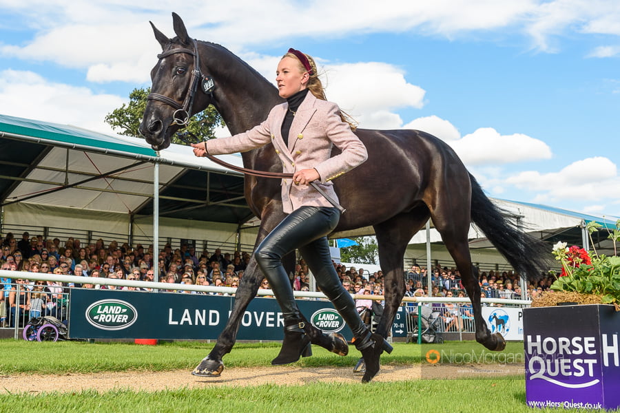 Eliza Bell trotting up at Burghley