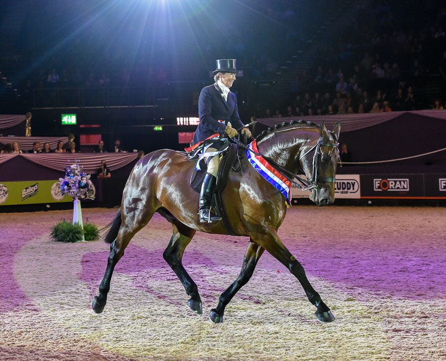 HOYS showing