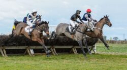 point to point racing at Thorpe Lodge