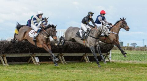 point to point racing at Thorpe Lodge