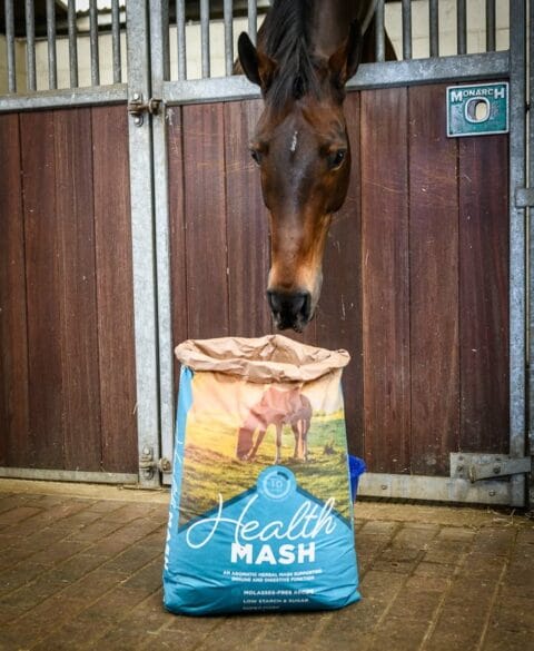 Dodson & Horrell Health Mash Launch