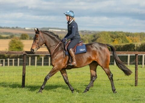 Dodson & Horrell Sponsored rider images