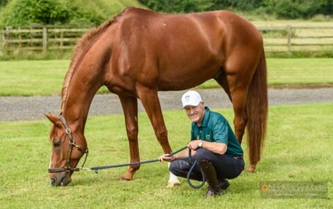 Andrew Hoy and Vassily de Lassos