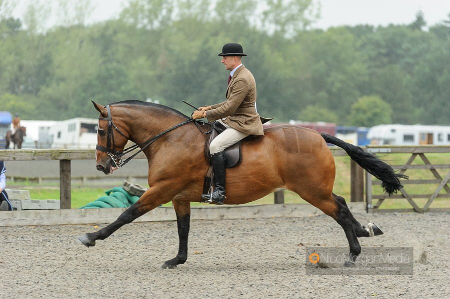 How to photograph showing: example gallop