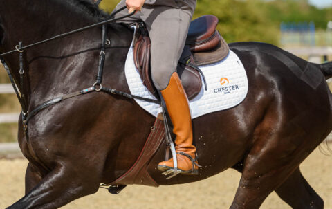 Commercial Photography - Chester boots and numnah in action