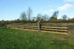 Bungalow hedge - Melton Hunt Club Ride 2022