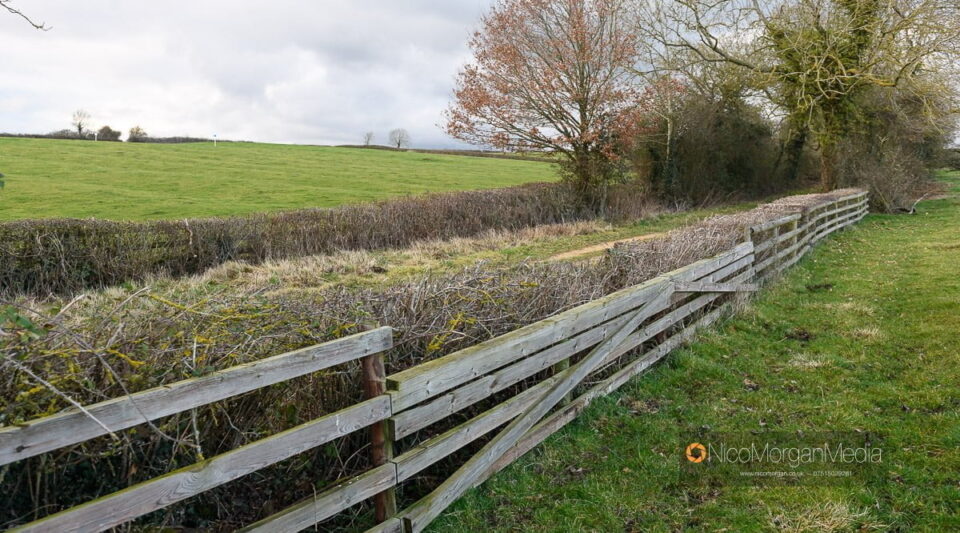 Cottesmore Scurry and Foxhunter Courses Preview 2023 Cottesmore Scurry and Foxhunter Courses Preview 2023