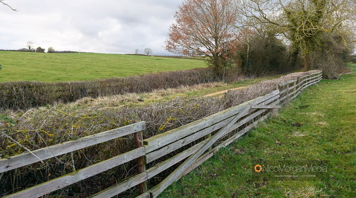 Leicester Lane Crossing on Scurry course