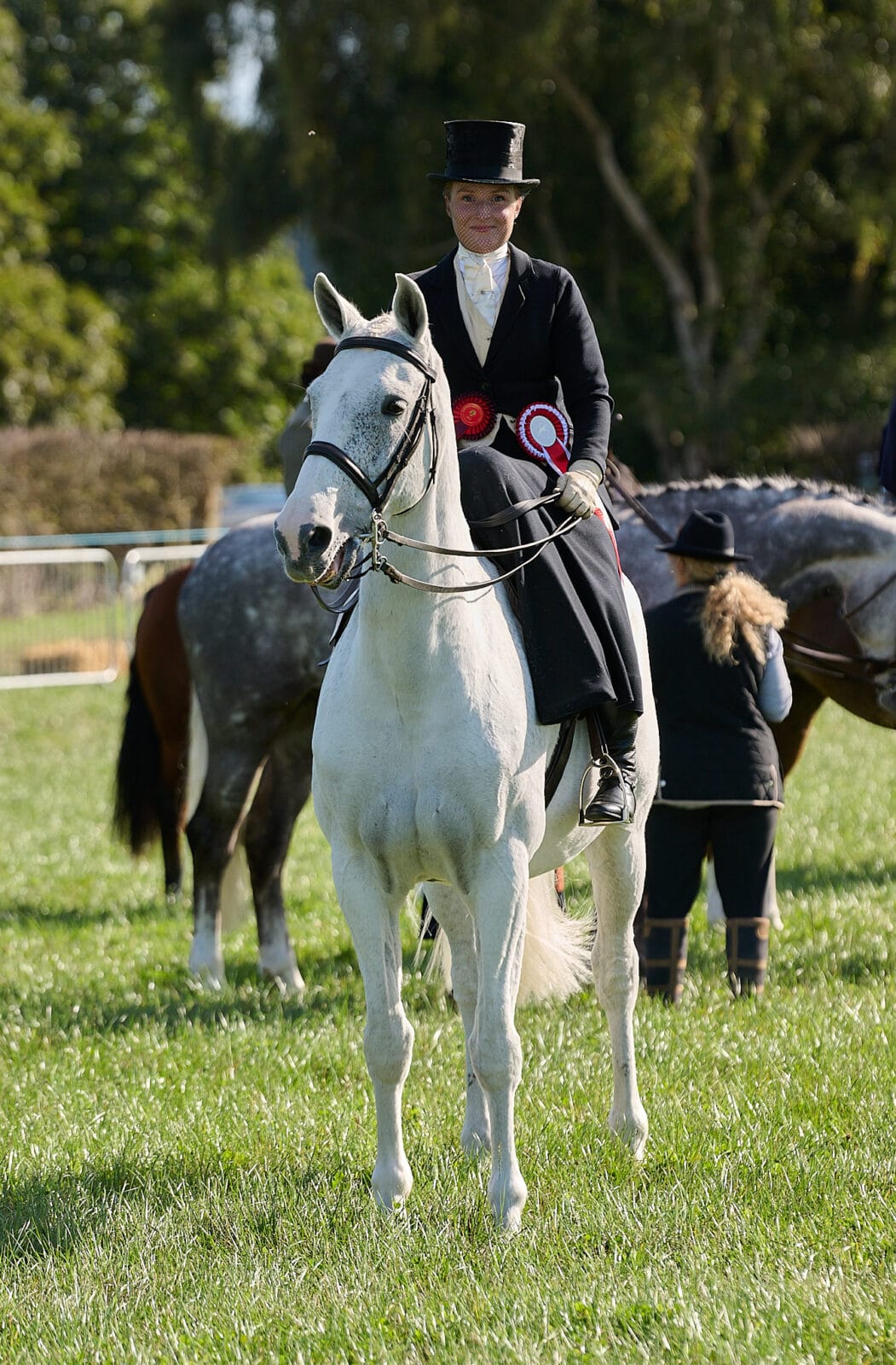 Alex Molesworth St. Aubyn at Southwell Ploughing Match
