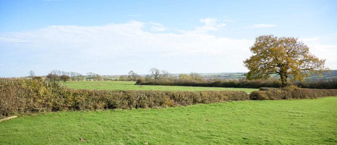 Foxhunters Fence 1 approach
