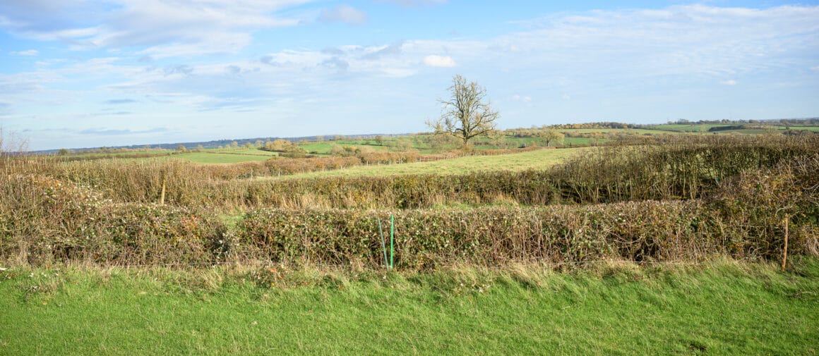 Fence 2 lane crossing